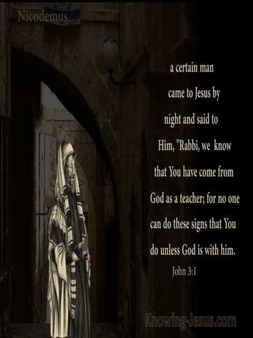 John 3:2 Nicodemus Came To Jesus By Night (brown)